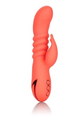 Wibrator wielofunkcyjny Calexotics