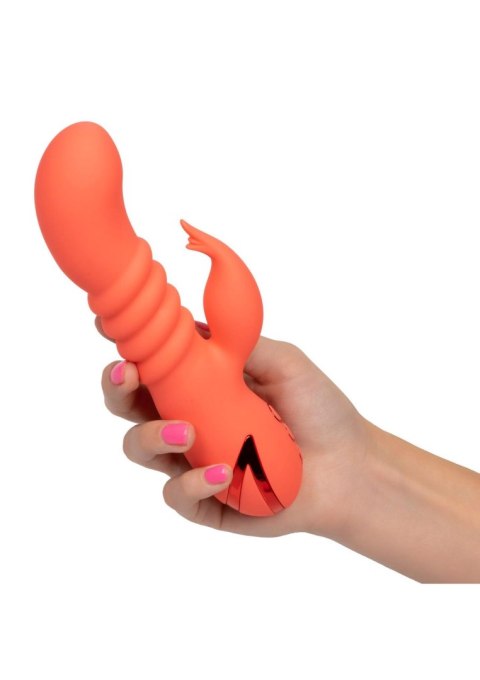 Wibrator wielofunkcyjny Calexotics