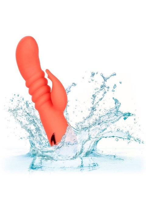 Wibrator wielofunkcyjny Calexotics