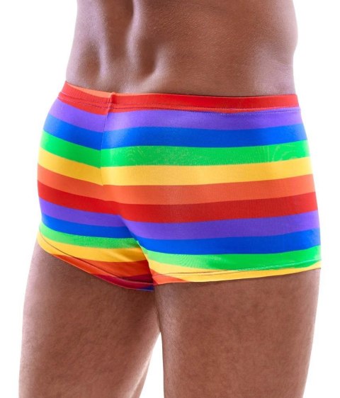 Men's Boxer Briefs Rainbow L