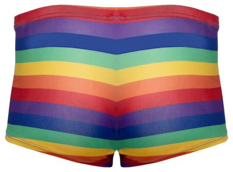 Men's Boxer Briefs Rainbow L