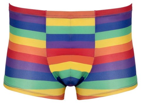 Men's Boxer Briefs Rainbow XL