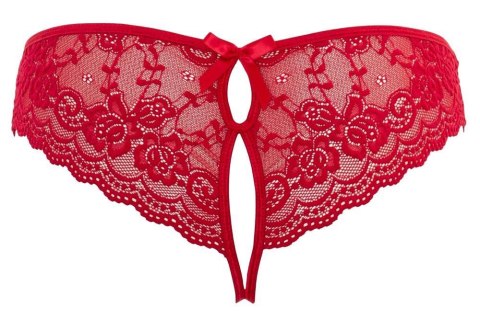 Lace Briefs Crotchless XL