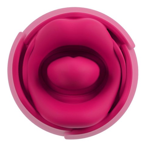 Oral Fun Tongue Vibrator