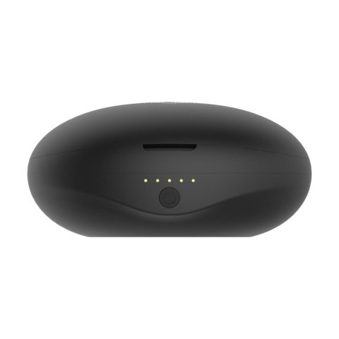 Profesjonalny wibrator motylek do stymulacji punktu G na pilota, USB - Rosy