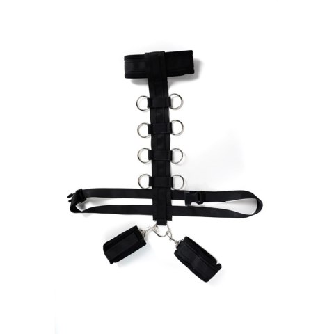 Harness with adjustable neck, belt and breastplate with rings