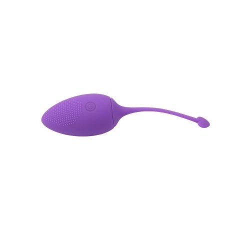 CHISA Sweety Teaser Wibrujące jajeczko na pilota, USB Fioletowe