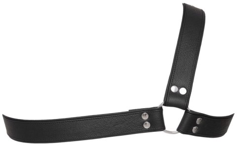 Men's Leather Harness S-L